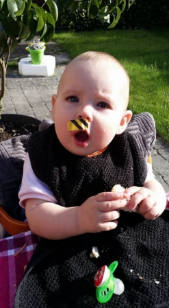 Bee-Patch -Camping Prix Réduits Magasin anti venin guepes abeilles frelon bourdon beepatch