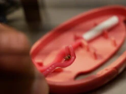 Clipbox Tick Twister 22 Clipbox Tick Twister -Camping Prix Réduits Magasin crochet anti tiques ticktwister