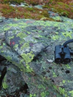 Jerven Fjellduken Hunter -Camping Prix Réduits Magasin jervenbag hunter montain