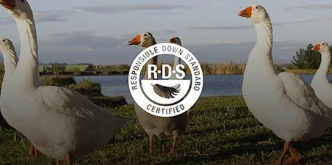 Oreiller Sea To Summit Aeros Down Pillow 10 Oreiller Sea To Summit Aeros Down Pillow – Image 8